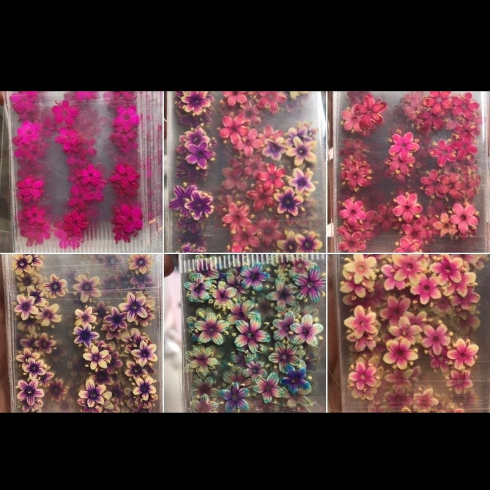 COPY - COPY - 120 dried flower for nails